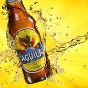 Aguila - Lager 12oz Bottle 24pk Case